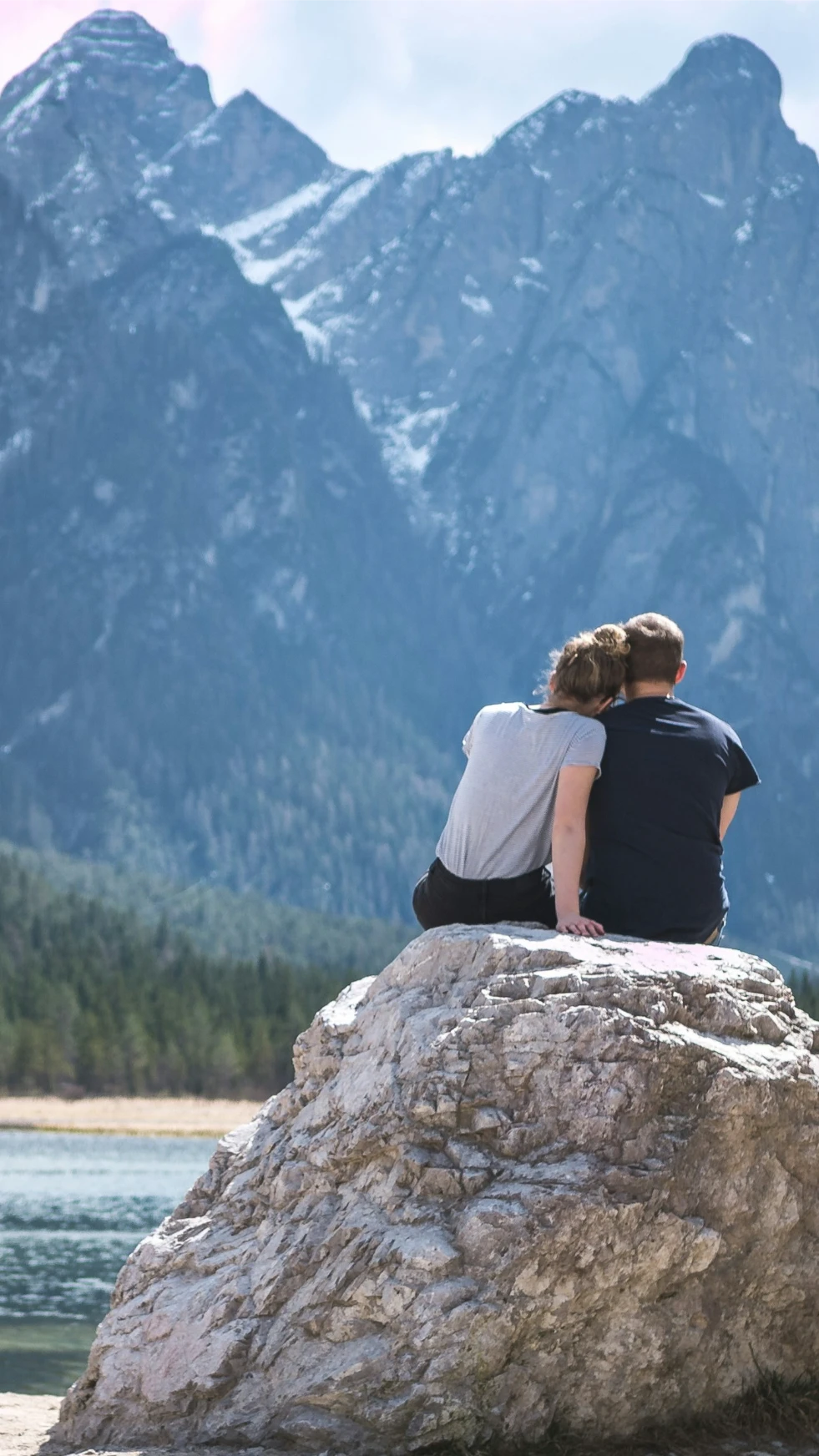 Interfaz de Goal Partner